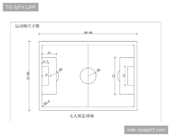 球门尺寸标准：宽度7.32米、高度2.44米是国际比赛的硬性规定